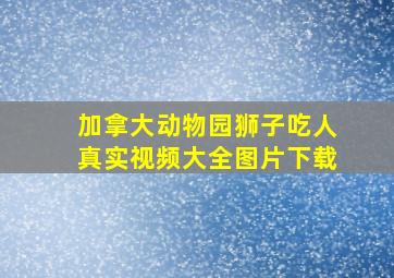 加拿大动物园狮子吃人真实视频大全图片下载