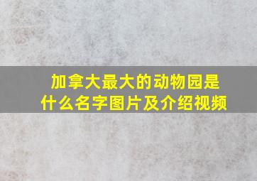 加拿大最大的动物园是什么名字图片及介绍视频