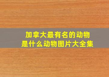 加拿大最有名的动物是什么动物图片大全集