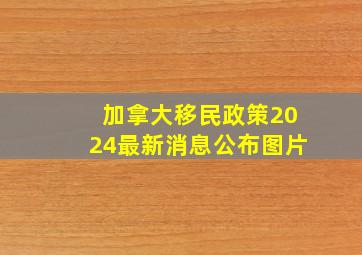 加拿大移民政策2024最新消息公布图片