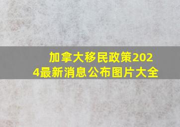 加拿大移民政策2024最新消息公布图片大全