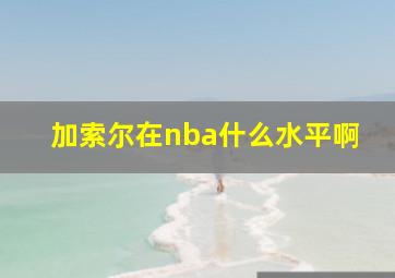 加索尔在nba什么水平啊