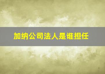 加纳公司法人是谁担任