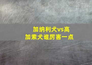 加纳利犬vs高加索犬谁厉害一点