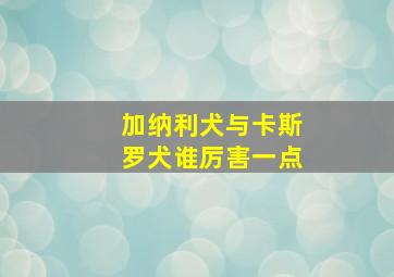 加纳利犬与卡斯罗犬谁厉害一点