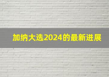 加纳大选2024的最新进展