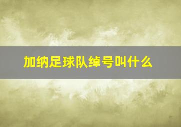 加纳足球队绰号叫什么