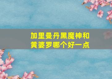 加里曼丹黑魔神和黄婆罗哪个好一点