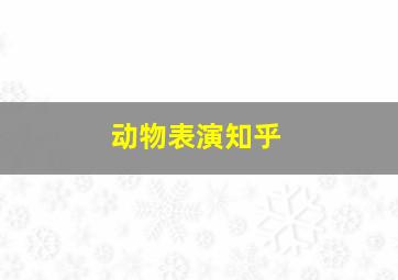 动物表演知乎