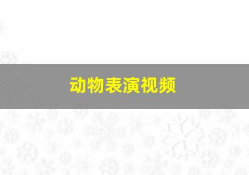 动物表演视频