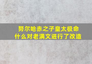 努尔哈赤之子皇太极命什么对老满文进行了改造