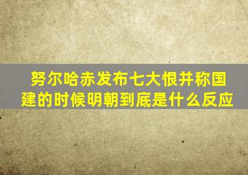 努尔哈赤发布七大恨并称国建的时候明朝到底是什么反应