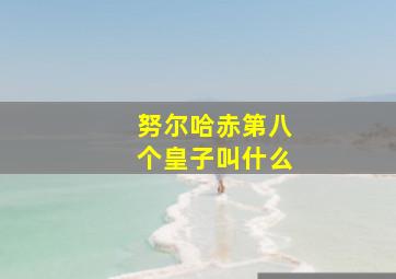 努尔哈赤第八个皇子叫什么