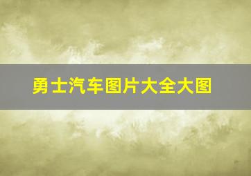 勇士汽车图片大全大图