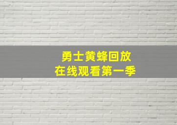 勇士黄蜂回放在线观看第一季