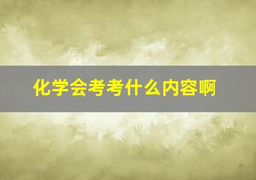 化学会考考什么内容啊