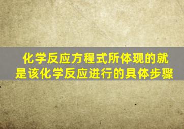 化学反应方程式所体现的就是该化学反应进行的具体步骤