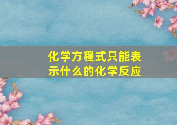 化学方程式只能表示什么的化学反应