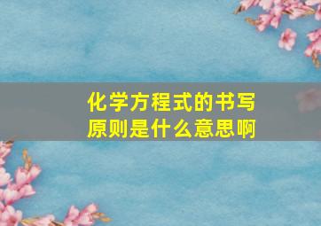 化学方程式的书写原则是什么意思啊