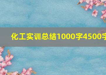 化工实训总结1000字4500字