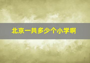 北京一共多少个小学啊