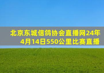 北京东城信鸽协会直播网24年4月14日550公里比赛直播