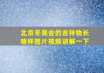 北京冬奥会的吉祥物长啥样图片视频讲解一下