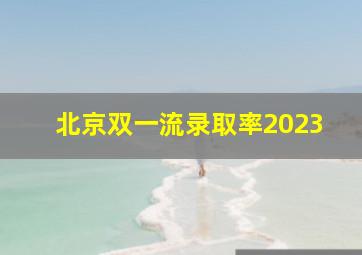 北京双一流录取率2023