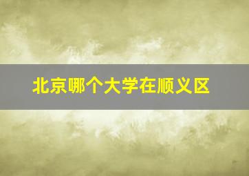 北京哪个大学在顺义区