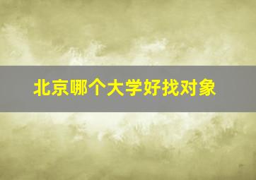 北京哪个大学好找对象