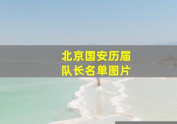 北京国安历届队长名单图片