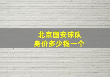 北京国安球队身价多少钱一个