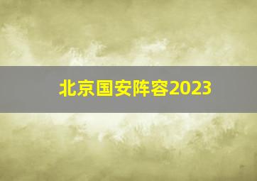 北京国安阵容2023