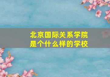 北京国际关系学院是个什么样的学校