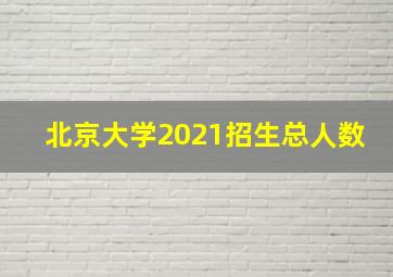 北京大学2021招生总人数