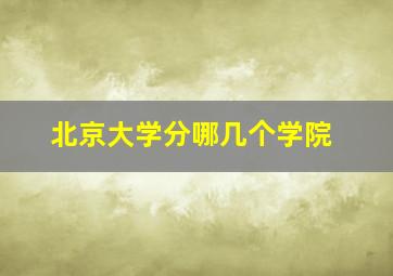 北京大学分哪几个学院