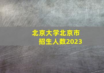 北京大学北京市招生人数2023