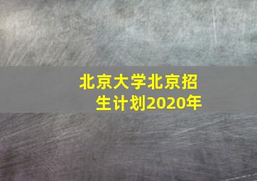 北京大学北京招生计划2020年