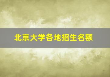 北京大学各地招生名额