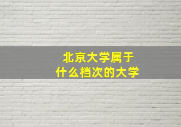 北京大学属于什么档次的大学