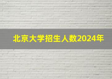 北京大学招生人数2024年