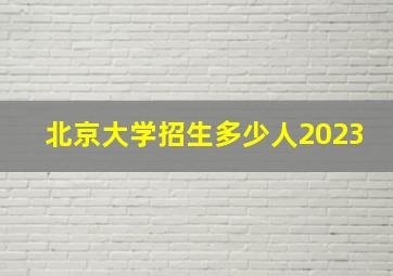 北京大学招生多少人2023