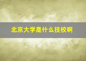 北京大学是什么技校啊