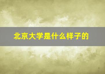 北京大学是什么样子的