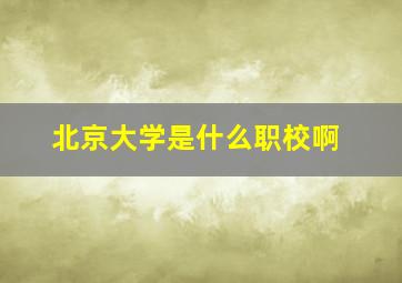 北京大学是什么职校啊