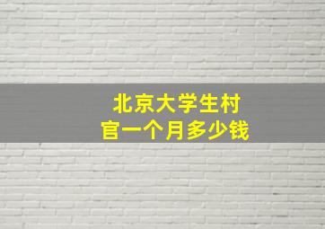 北京大学生村官一个月多少钱