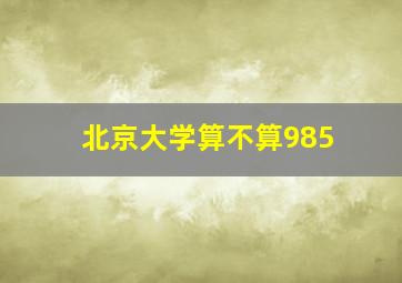 北京大学算不算985