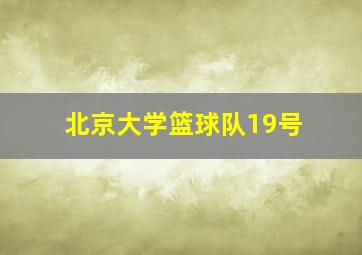 北京大学篮球队19号