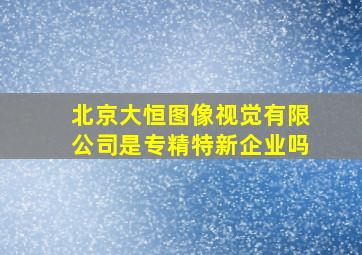 北京大恒图像视觉有限公司是专精特新企业吗