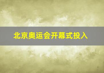 北京奥运会开幕式投入